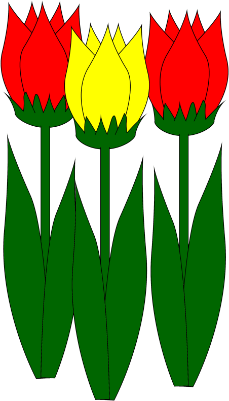 Pin Clipart Blumen - Tulpe Clipart (565x800)