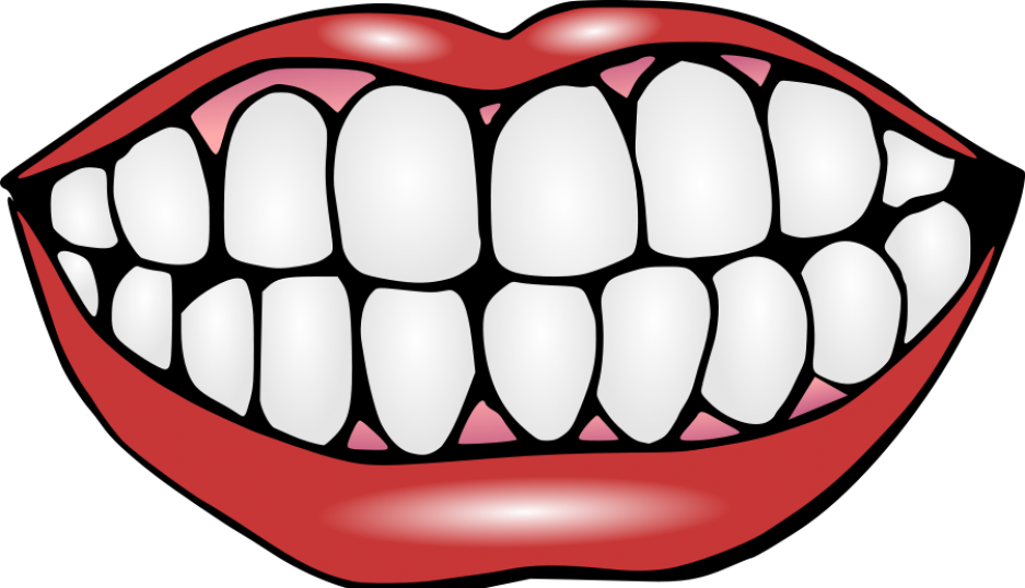 About - Teeth Clipart (937x538)