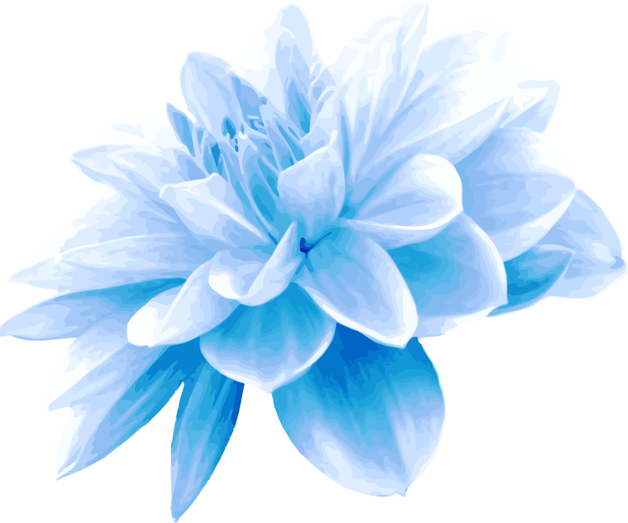 Blue Flower Picture Savingourboys - Single Blue Flower (2400x2000)