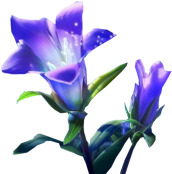 Purple Flowers - Flower (800x600)