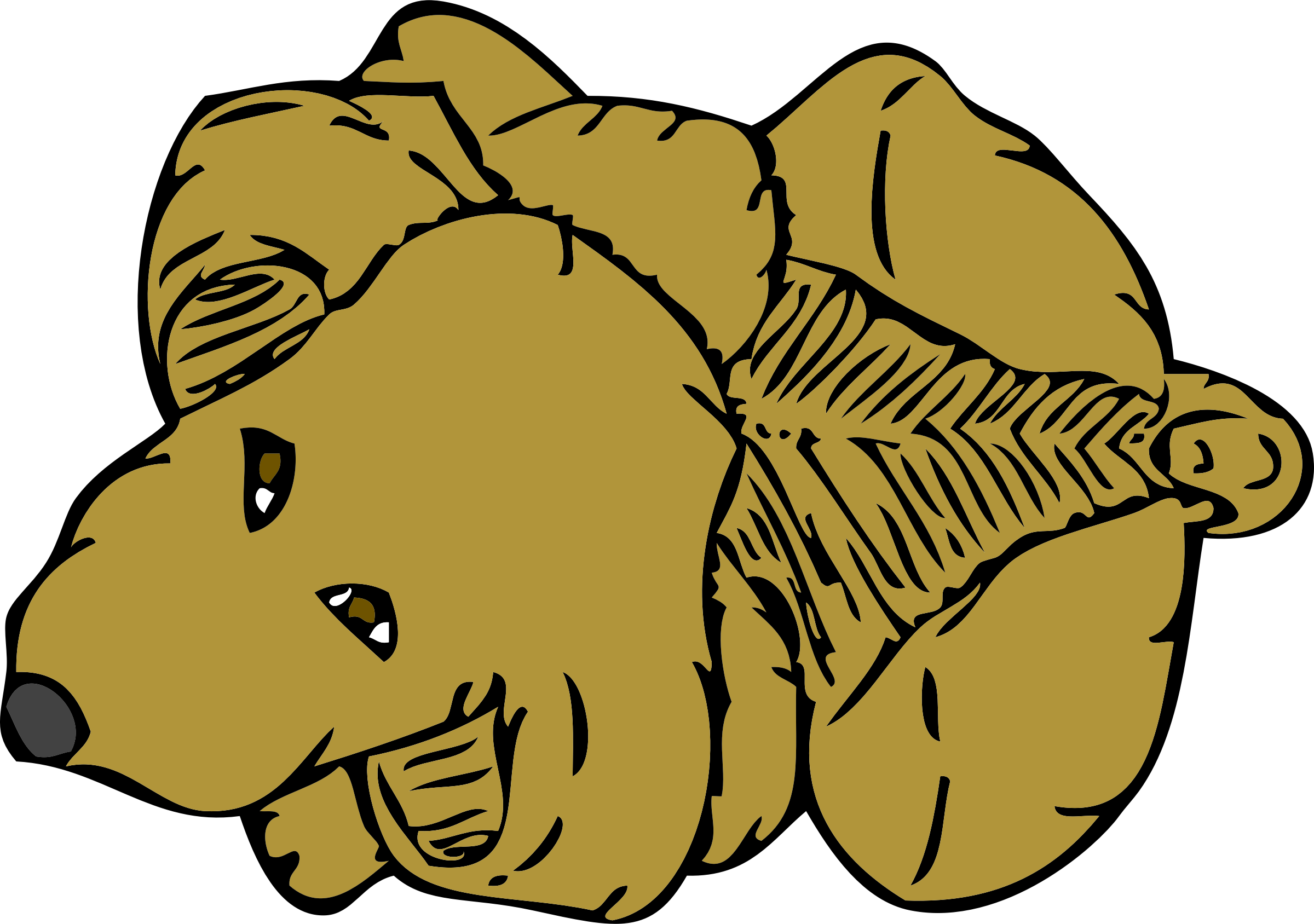 Mad Dog Clipart Free Vector Dog From Above Clip Art - Pet (2400x1688)