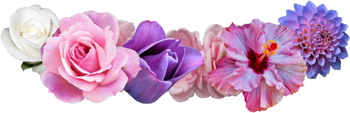 Flower Crown Drawing Png - Flower Crown Transparent (1280x512)