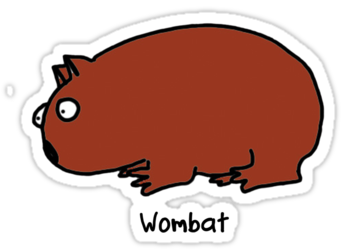 Wombat Clipart Cute - Cartoon Wombat Png (375x360)