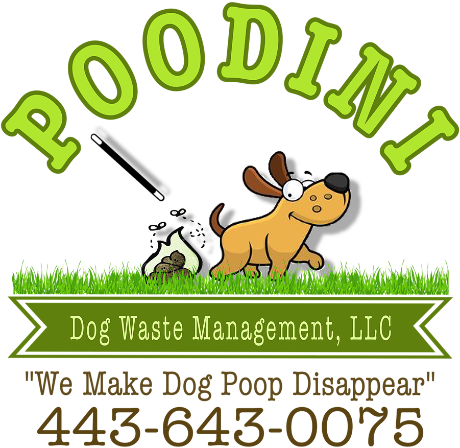 Bel Air Maryland Pooper Scooper Service Poodini - Bel Air (900x900)