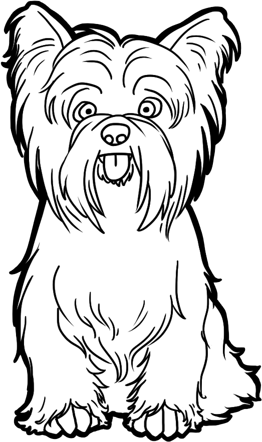 Dog Png Clipart - Yorkshire Terrier Easy To Draw (828x966)