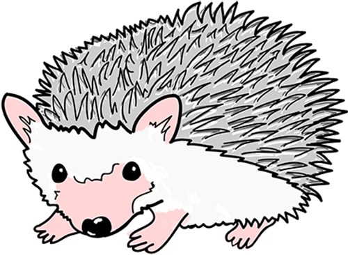 Mascot Porcupine Blurb Mascot Porcupine - Pet Store (500x373)