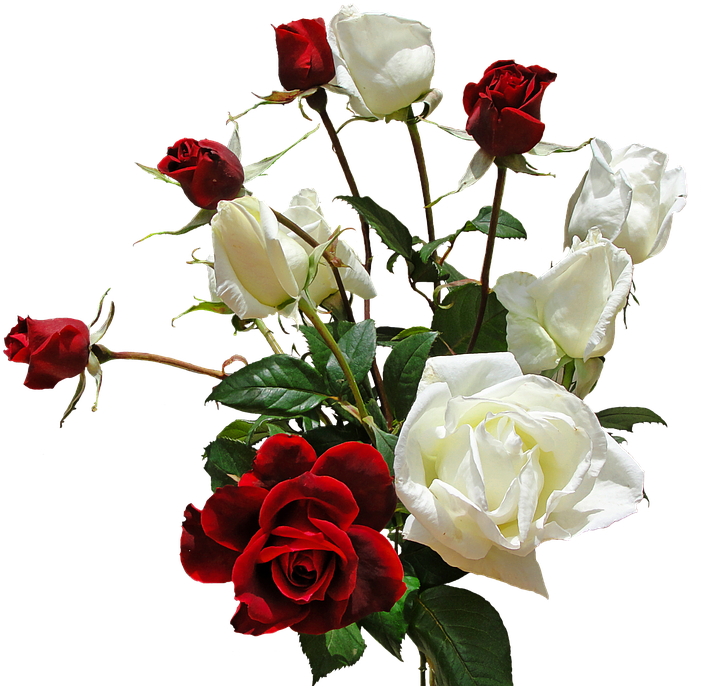 White Rose Png - Transparent Bouquet (960x708)