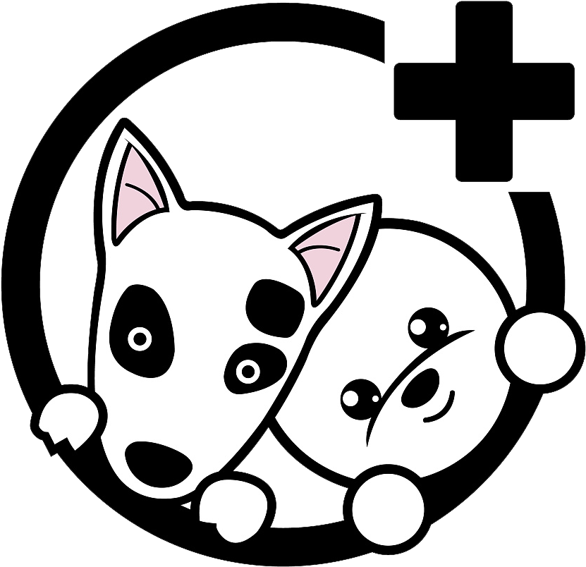 Bichon Frise Whiskers Puppy Clip Art - Bichon Frise Whiskers Puppy Clip Art (900x1273)