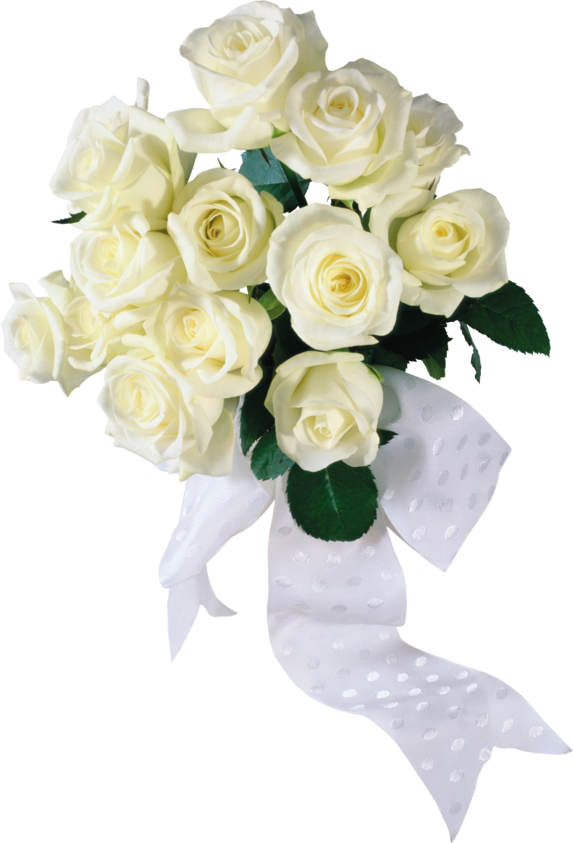 White Roses Png Image - White Roses Png (2060x3000)