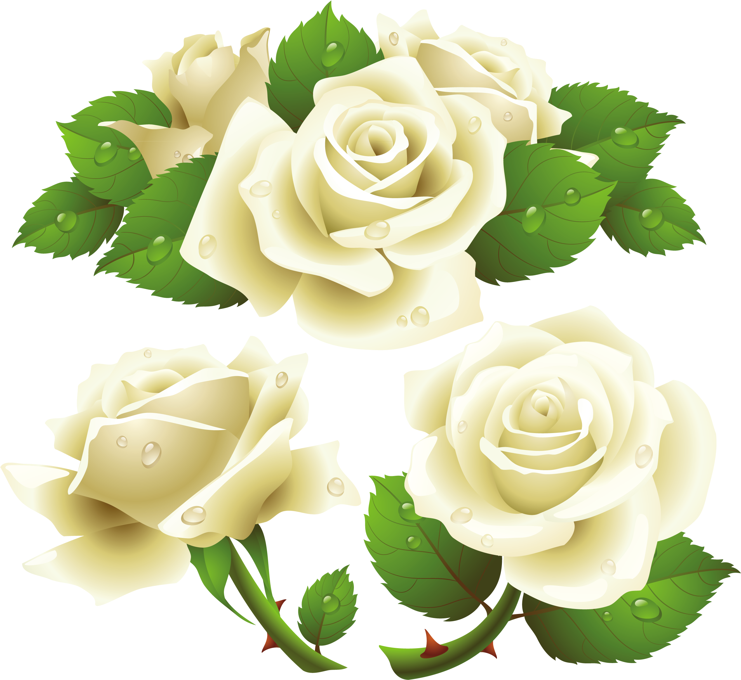 White Rose Png Image, Flower White Rose Png Picture - White Rose Vector Png (2611x2432)