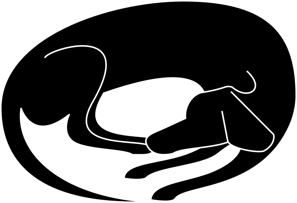 Dog-156947 960 720 - Cartoon Sleeping Black Dog (960x657)