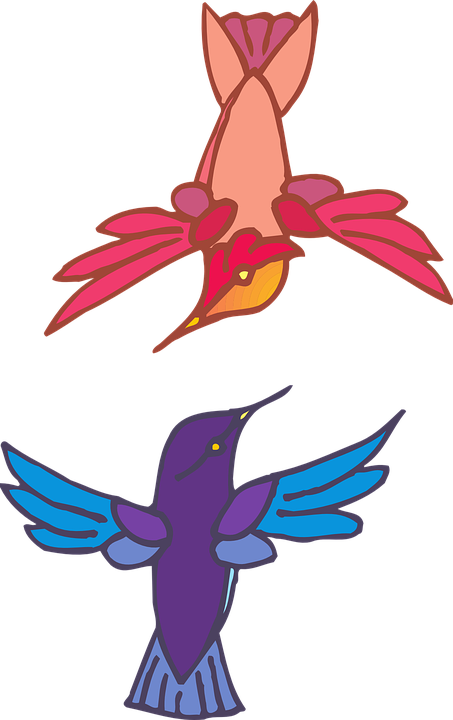 Humming Bird Cartoon 19, Buy Clip Art - Aves Que Vuelan Con Alas (500x794)