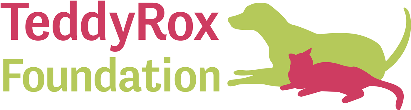 These Logos Were Created For The Teddyrox Foundation, - Tyrannosaurus (1400x395)