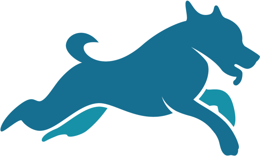 2018 K9 Fitness Solutions - Dog (1000x732)