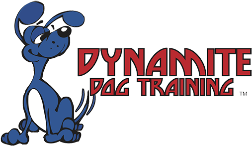 Dynamite Dog Training (600x311)