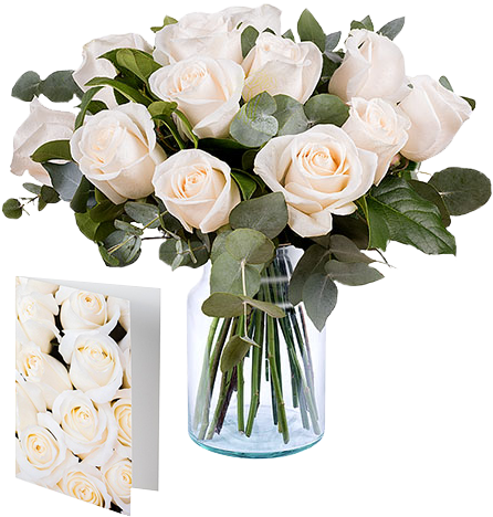 12 White Roses And Card - White (480x480)