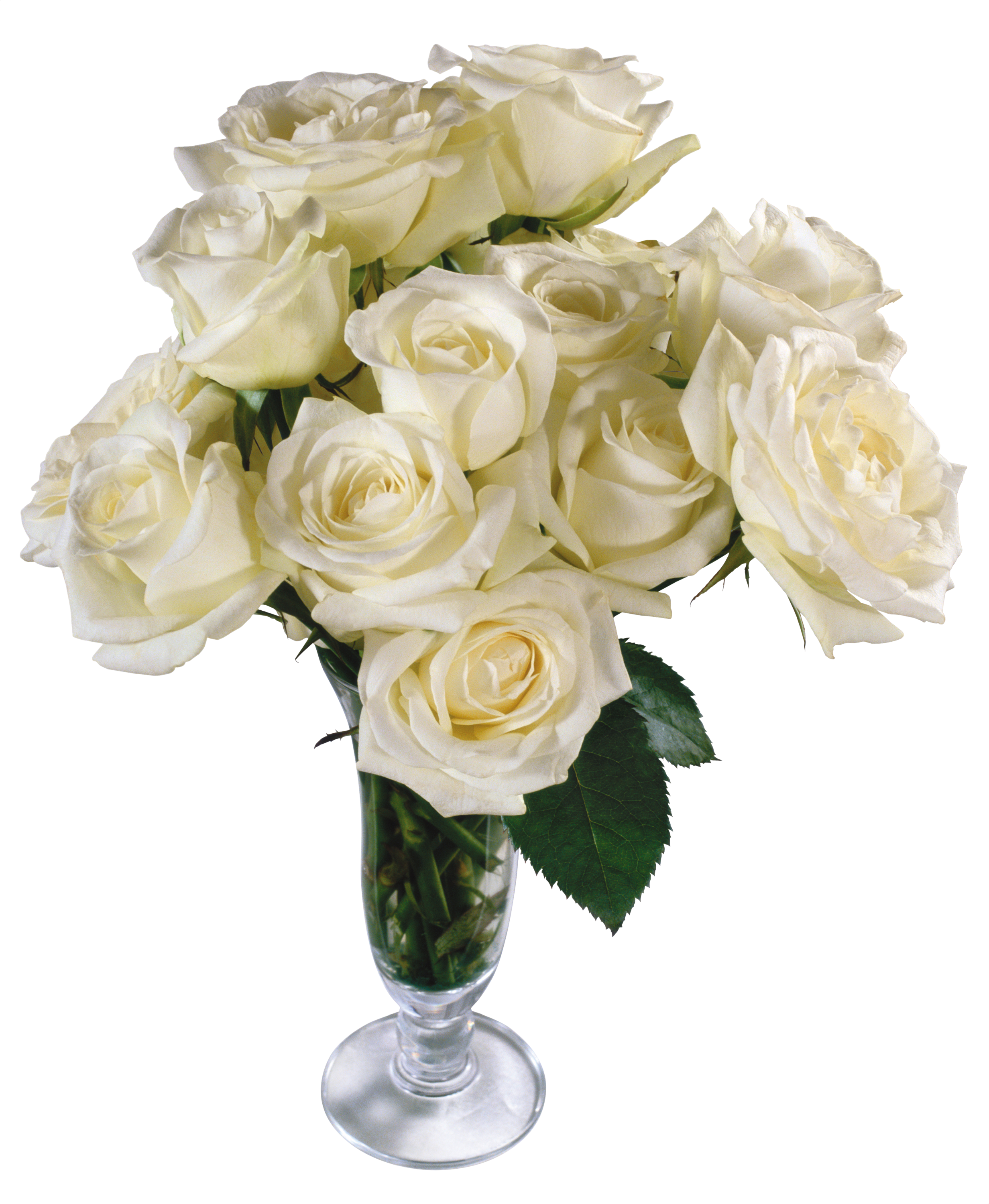 White Rose Bouquet Png (2464x3000)
