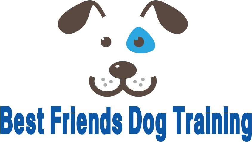Best Friends Dog Training In Pittsburgh, Pa - Best Friends Dog Training In Pittsburgh, Pa (958x567)