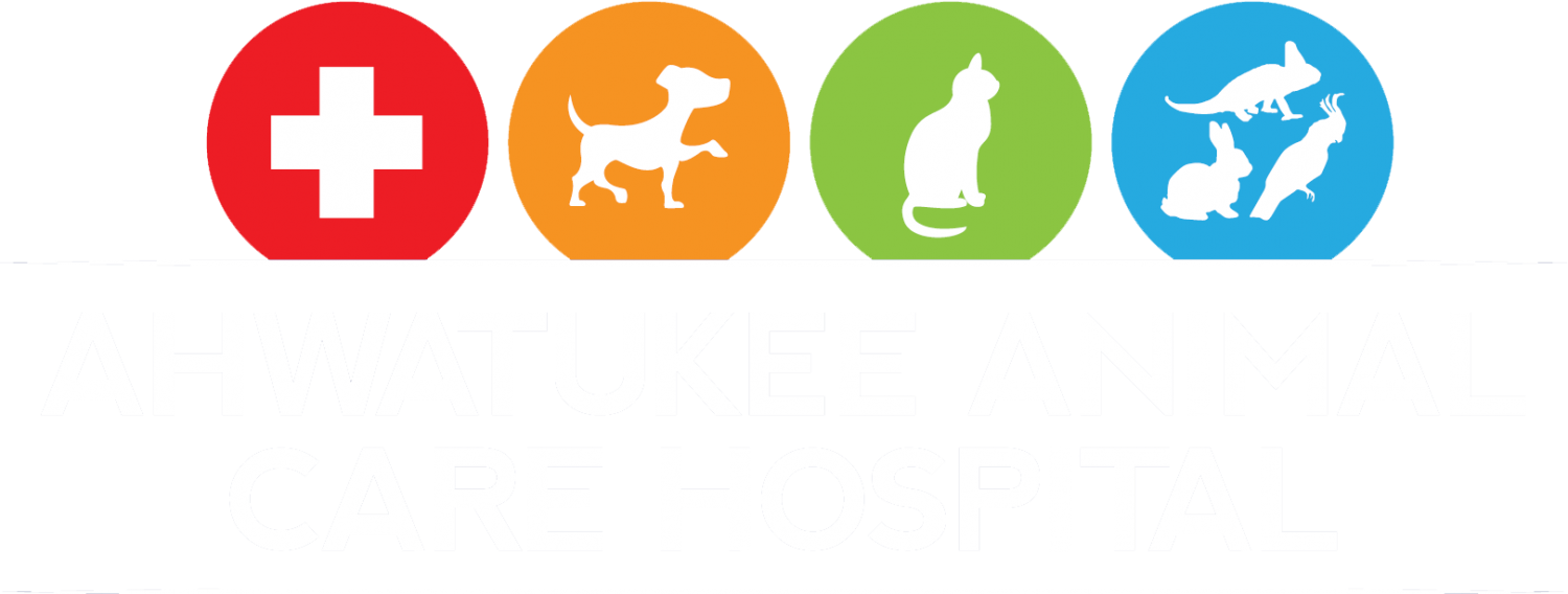 Ahwatukee Animal Care Hospital And Pet Resort Phoenxix, - Logo Pet Care Png (1500x568)