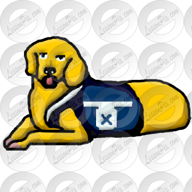 Service Dog Picture - Golden Retriever (380x380)