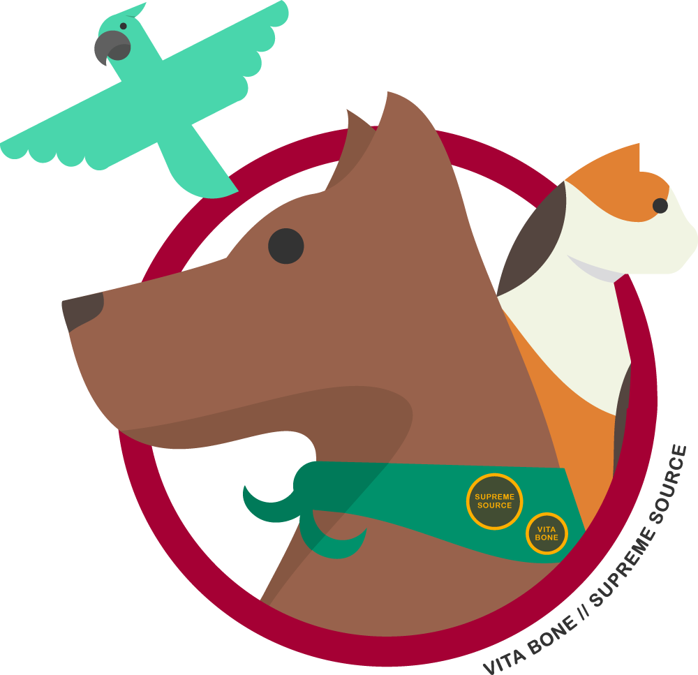 Are You And Your Animal Ready To Form A Therapy Team - Are You And Your Animal Ready To Form A Therapy Team (1000x967)