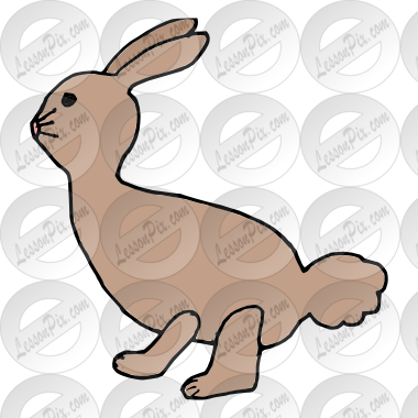 Rabbit Picture - Domestic Rabbit (380x380)