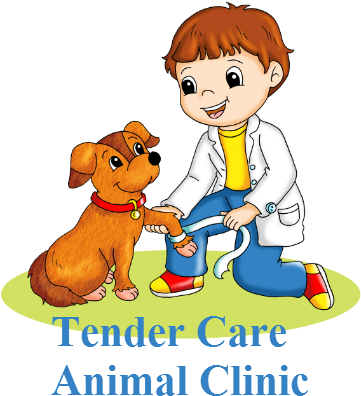 Tender Care Animal Clinic Tlc - Caring For Animals Clipart (394x400)