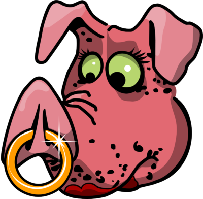 Gold Rind In Pigs Snout Clip Art - Gold Ring In Pigs Snout (400x392)