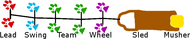 Sled Dog Team Positions By Matsioferebor - Sled Dog Team Positions (800x200)
