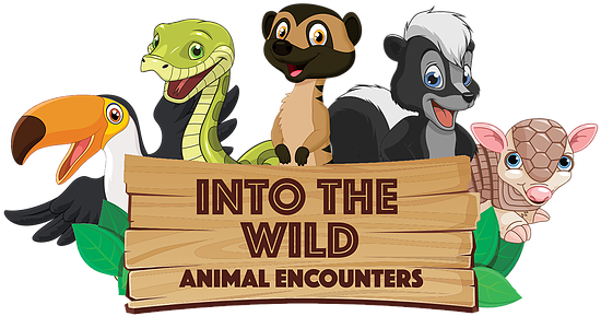 Exotic, Animal, Encounters, Parties - Into The Wild Animal Encounters (566x342)