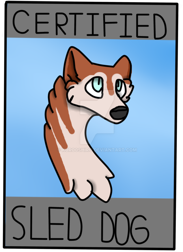Certified Sled Dog Badge Print Red Husky By Kuro0shiro - Miniature Siberian Husky (774x1032)