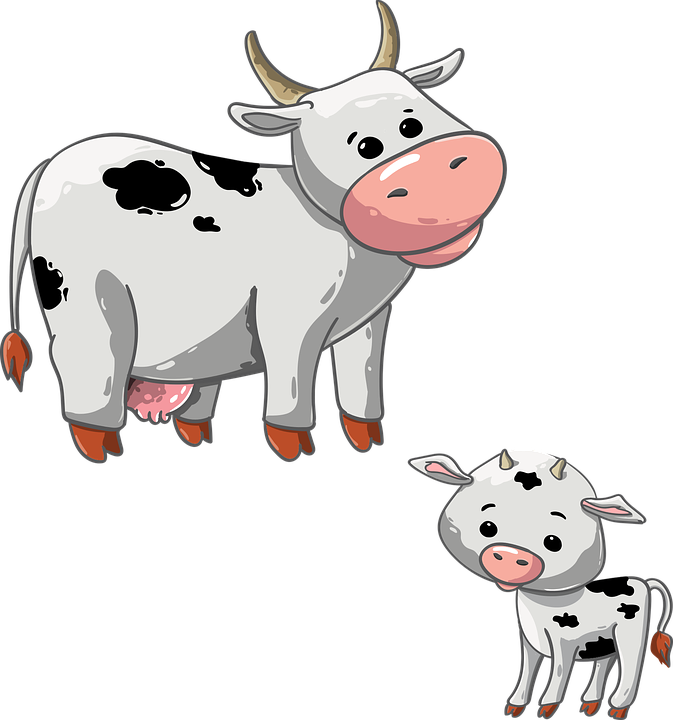 Cow, Calf, Animal, Udder, The Horn Of Africa, Cattle - Calf (1793x1920)