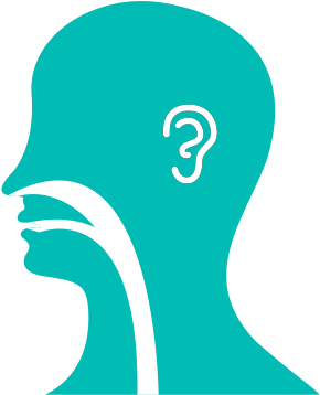 Ear Nose And Throat Clipart Clipartxtras - Ear Nose And Throat Png (560x375)