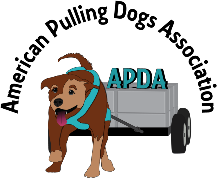 Companion Dog (784x709)