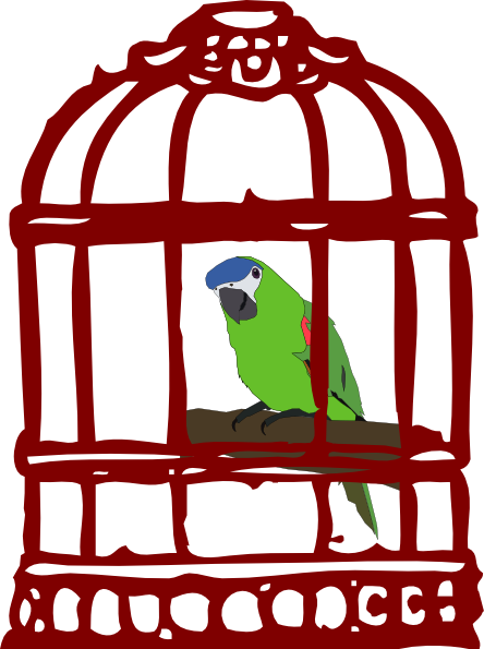 Pet Bird Clipart Collection - Bird In Cage Clipart (444x595)