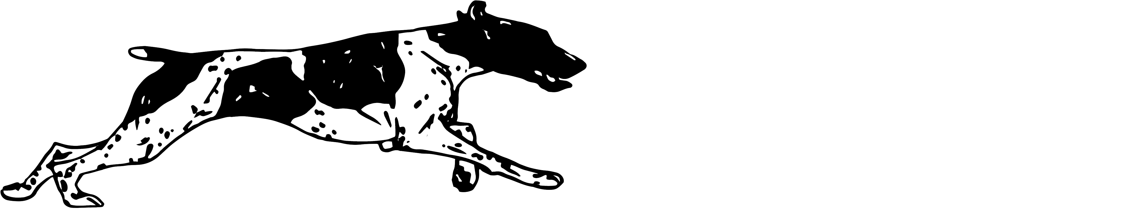 Blitz Pet Professionals - Mustang Horse (4853x1113)