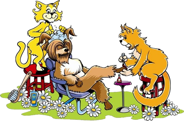 Funny Animal Grooming - Cartoon Dog Grooming (600x400)