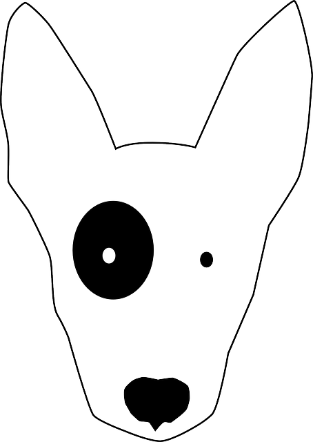 White Dog, Pet, Animal, Hound, Simple, White - Bull Terrier Cartoon Head (454x640)