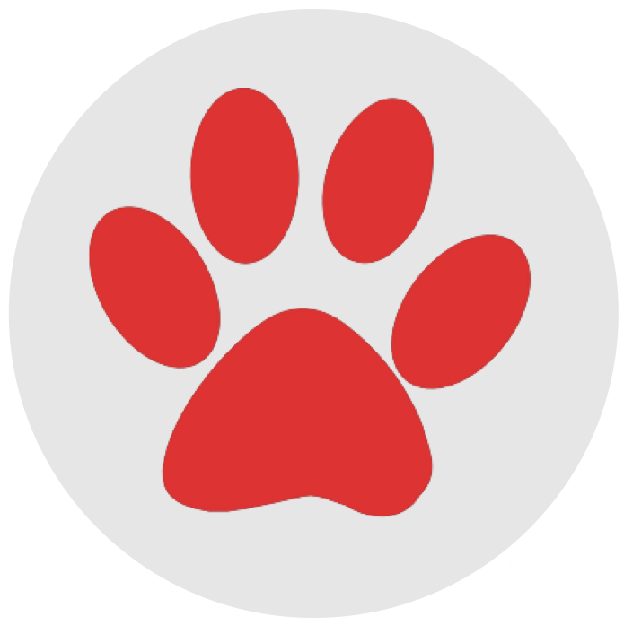 Our Dogs - Puppy Adoption Certificate Paw Patrol (695x697)