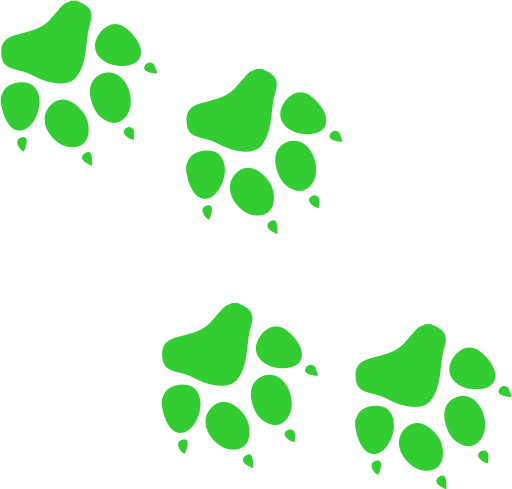 Карта лапки. Лапка собаки зеленая. Отпечаток лапы зеленый. Цветные следы. Отпечатки лап животных.