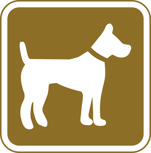 Symbol, Dog, Pets, Allowed, Tourist, Pet, Allows - Brady 115219 Notice Sign,18 X 12in,grn/wht,al,eng (630x640)
