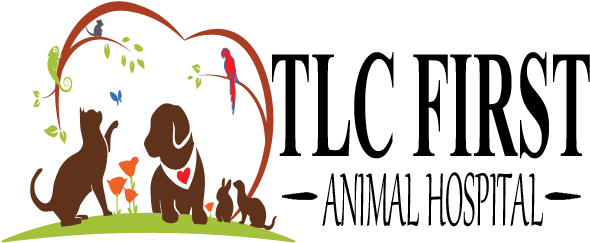 Logo For Veterinarians Chicago - Tlc First Animal Hospital (600x250)