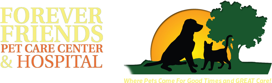 Forever Friends Pet Care Center - Forever Friends Pet Care Center & Hospital (960x283)