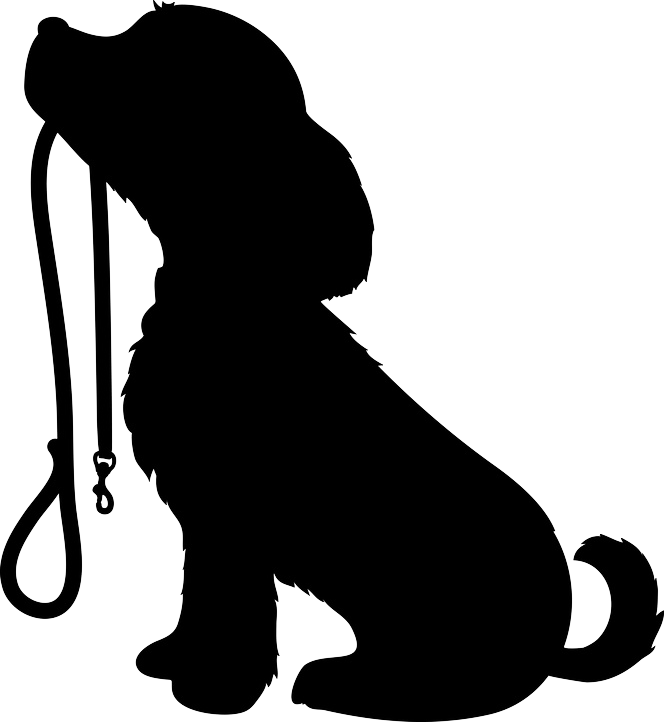 Dog Training In And Around Bolton Just Another Wordpress - Dog With Leash Silhouette (664x722)