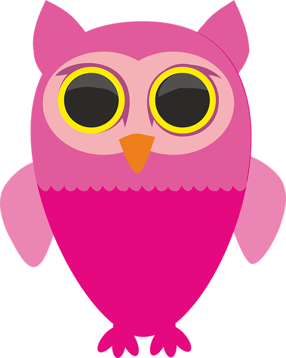 Big Bird Clipart - Gambar Burung Hantu Warna Pink (575x720)