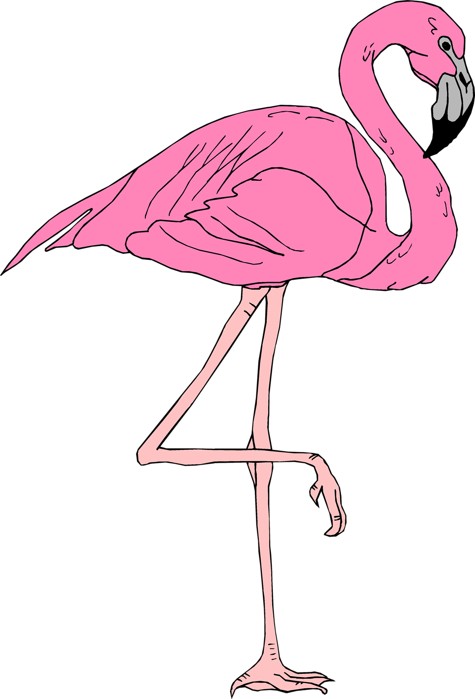 Flamingo - Pink Flamingo Transparent Background (958x1408)