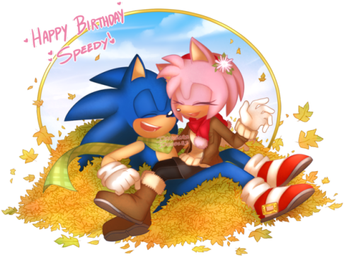 Amy Rose - Sonamy Danielasdoodles (500x366)