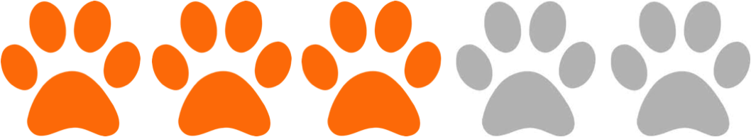 Adaptability - Circle (1058x193)