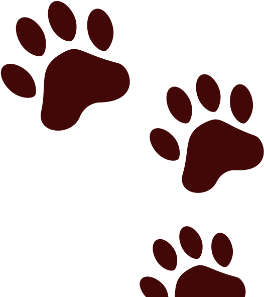 Cat Paw Print - Emoticon (600x600)