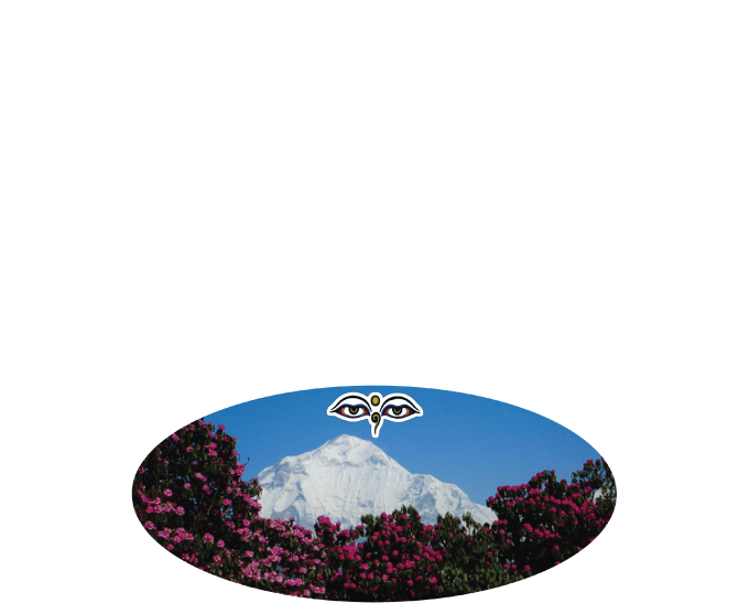 Pun Hill Himalayan Kitchen & Bar - Ghorepani (698x597)